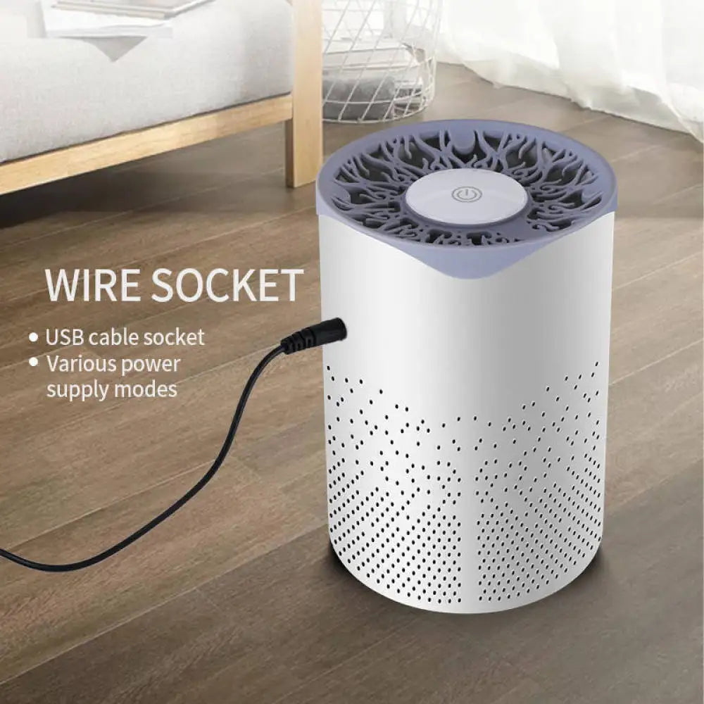 Home Air Purifier for Large Rooms | Medical-Grade HEPA Filter | Odor & Pet Dander Removal | Quiet USB Air Cleaner